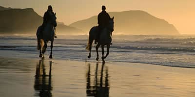 Paseos a caballo