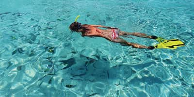 Buceo y Snorkeling